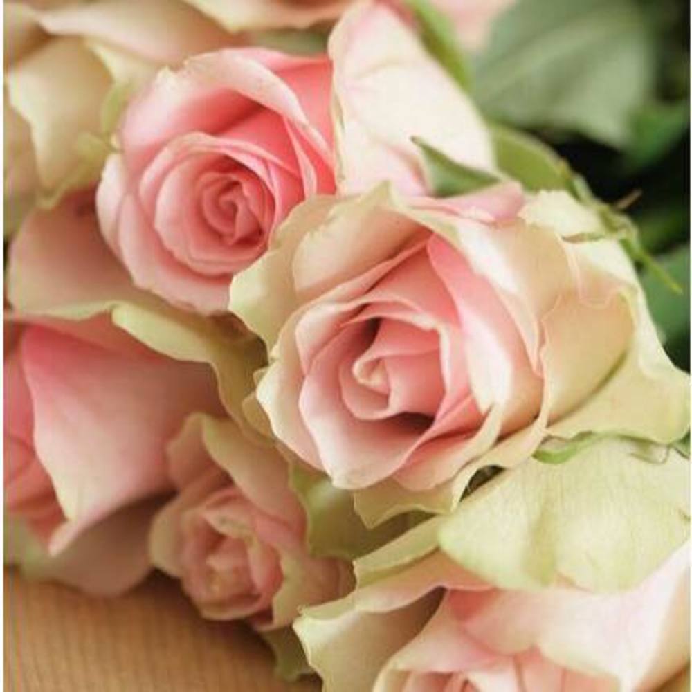 Meet your Posher, Gale